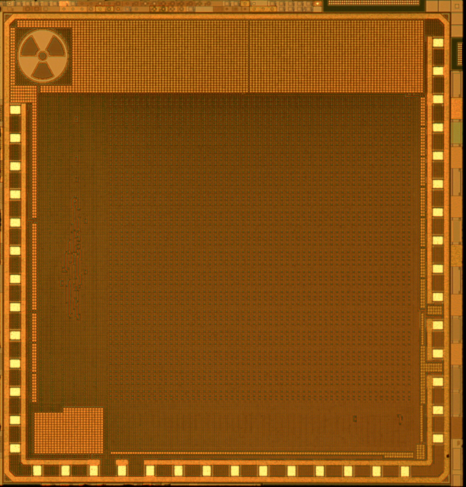 Die photo of X-ray dosimeter chip.