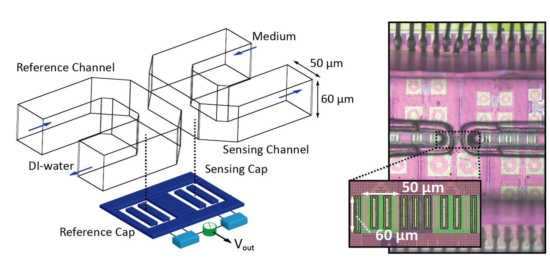 Die and package photo of a glucose sensor chip.